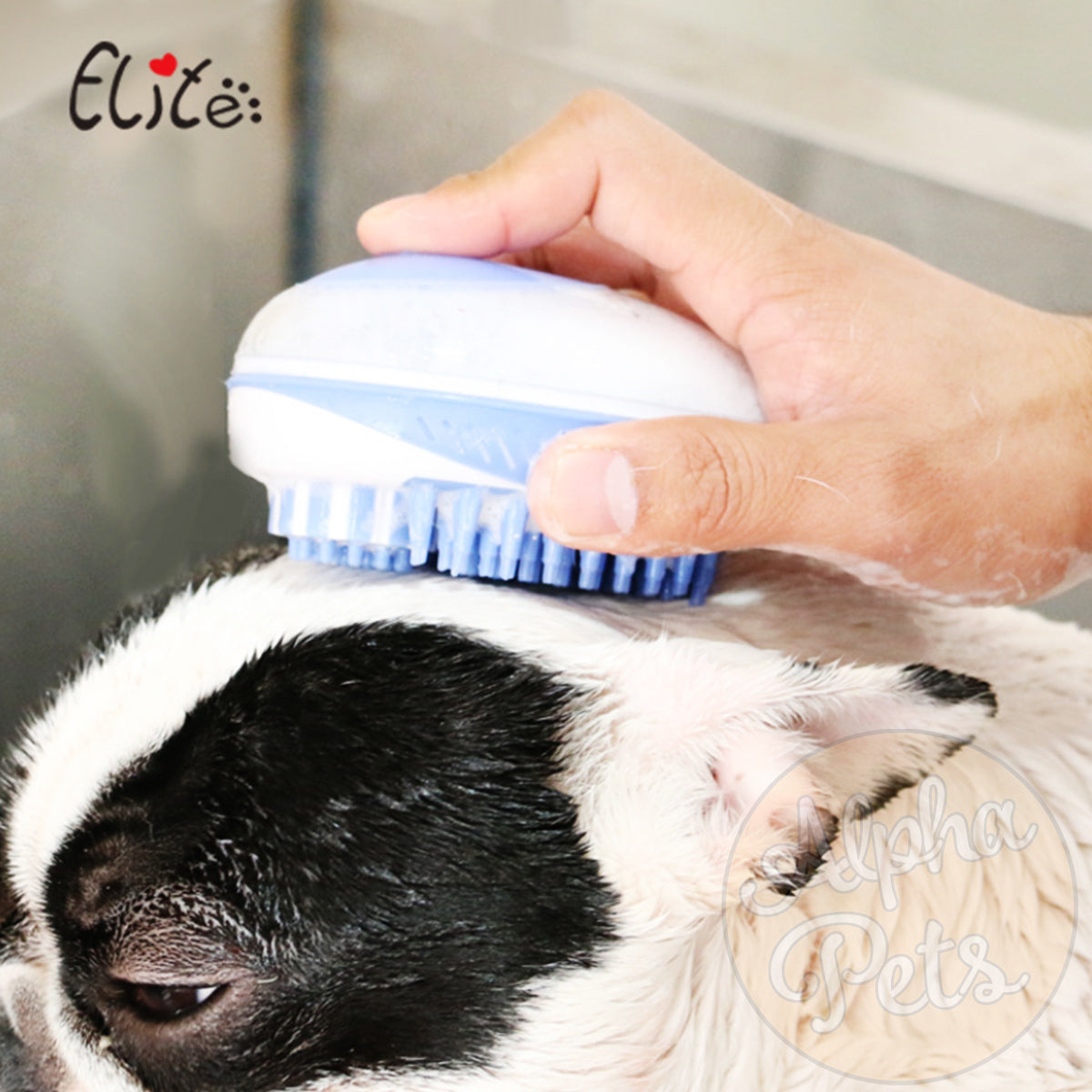 Elite伊麗 寵物洗澡按摩刷