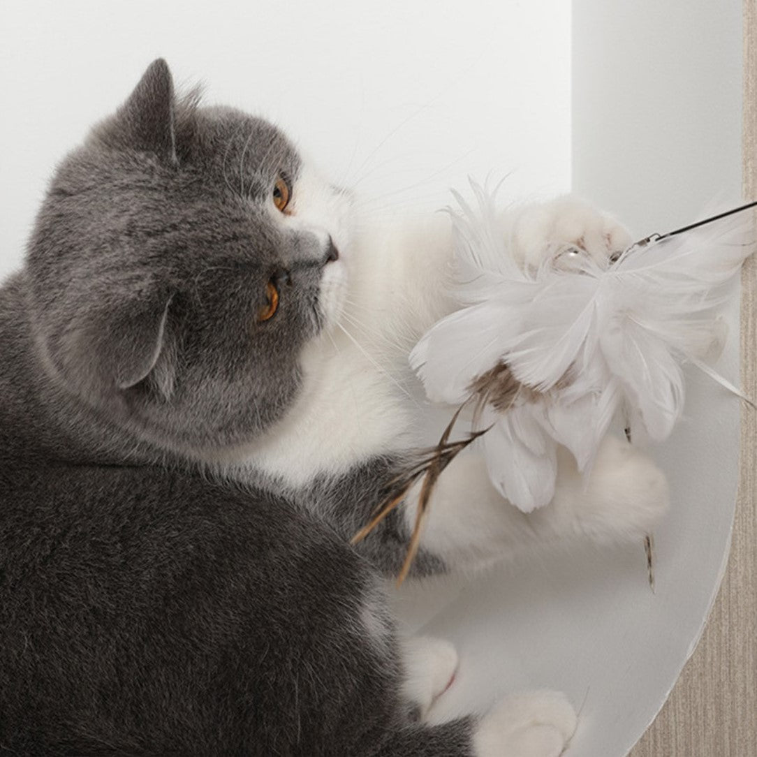 寵物自嗨長桿逗貓棒 吸盤逗貓棒貓