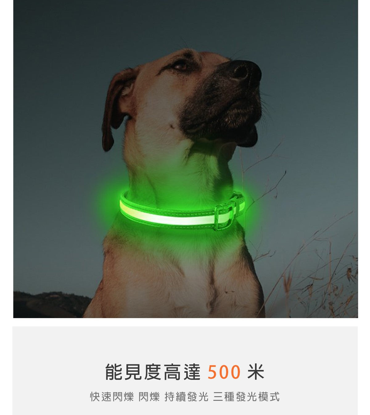 LaRoo萊諾 X戰士發光項圈 黃綠色