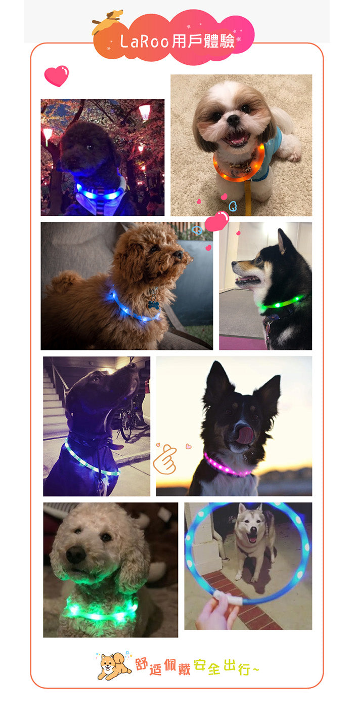 LaRoo萊諾 F9發光狗項圈 LED項圈 65cm 發光項圈 狗項圈 USB充電