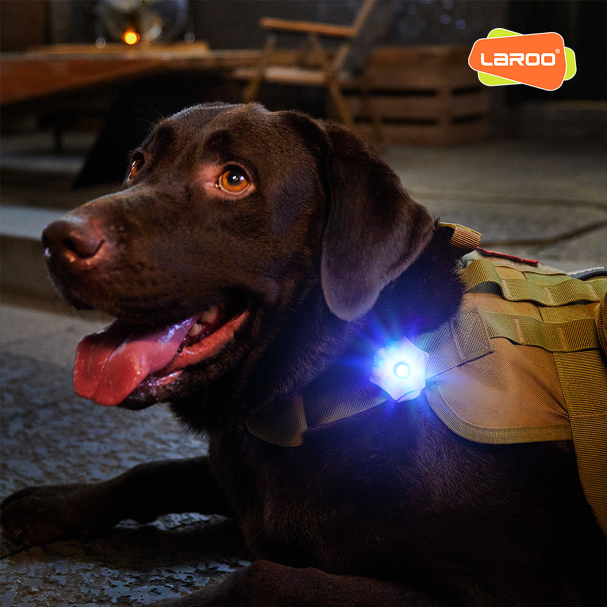 LaRoo萊諾 極光吊墜 寵物發光項圈配件 LED發光 USB充電 寵物夜晚發光