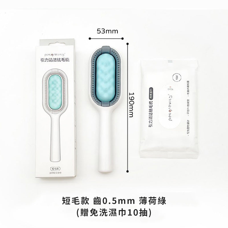 引力清潔除毛梳 寵物清潔 免洗濕巾粘毛器 薄荷綠