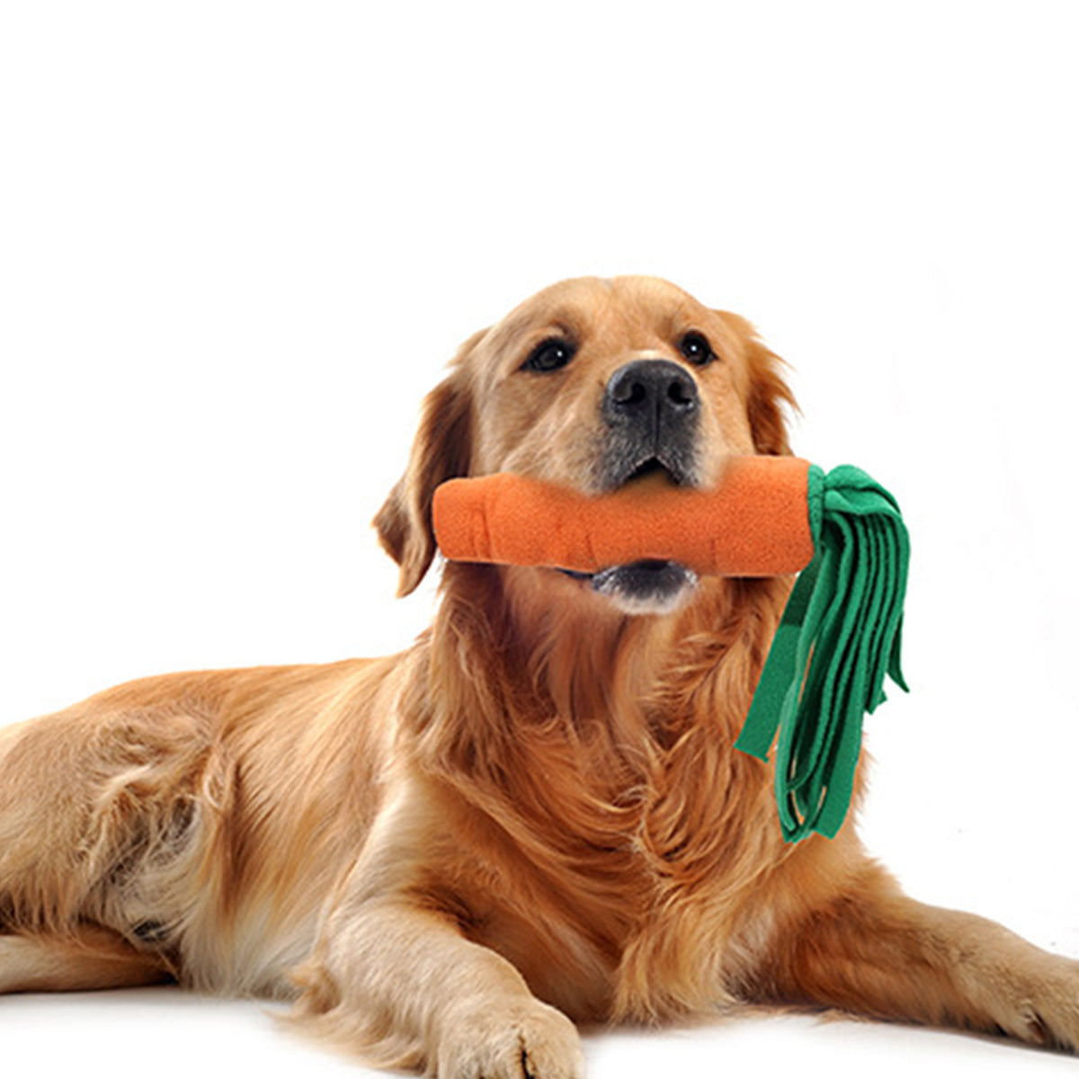 DogLemi多樂米  磨牙拔河蘿蔔嗅聞玩具