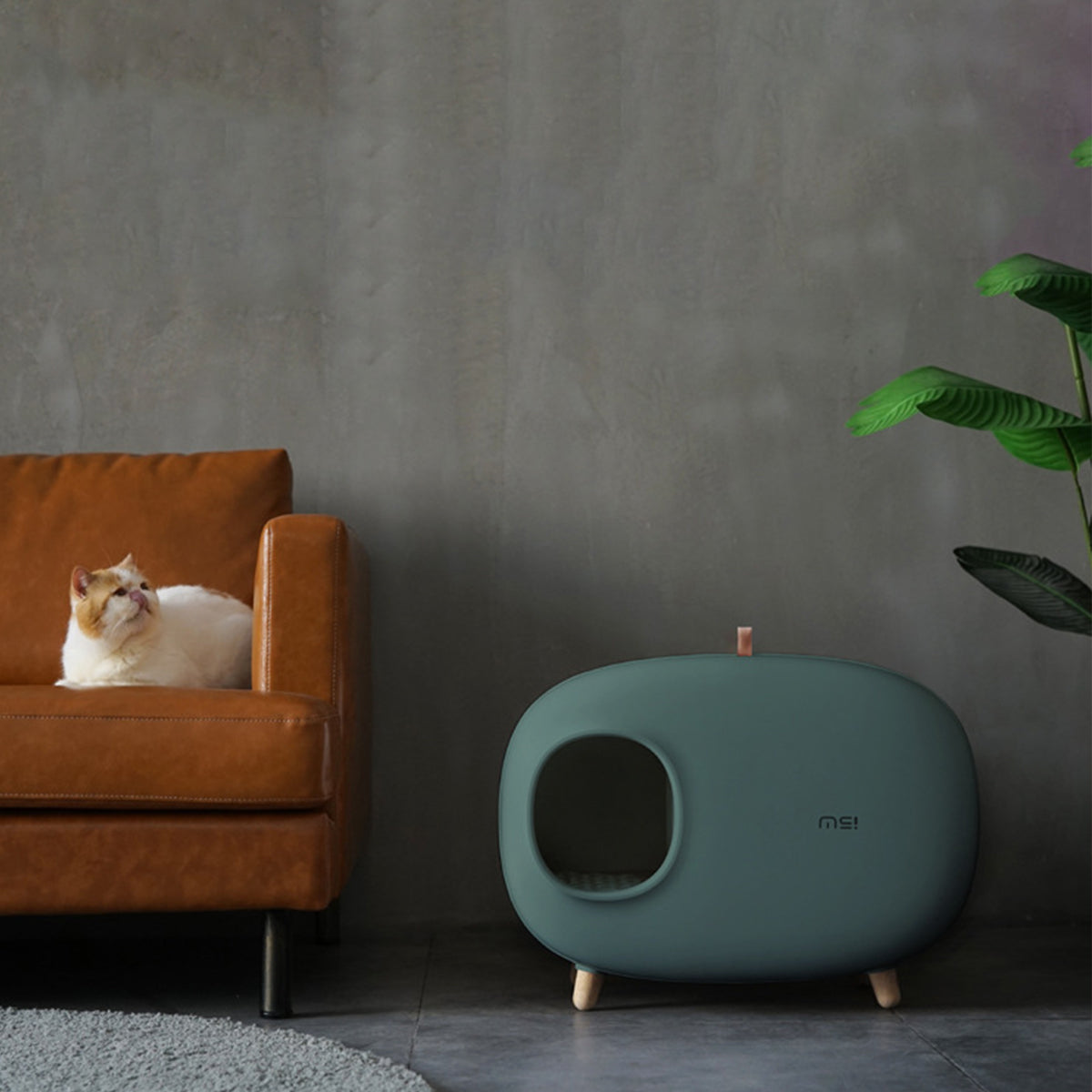 Makesure麻薯 單層貓砂盆 貓砂屋