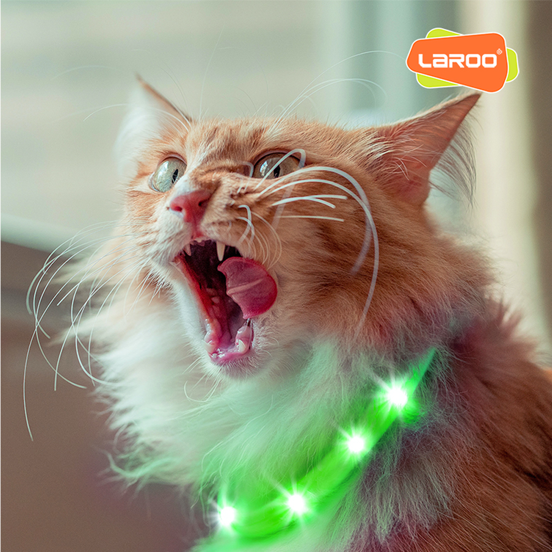 LaRoo萊諾 F31 發光LED項圈 45cm 發光項圈 貓項圈 USB充電