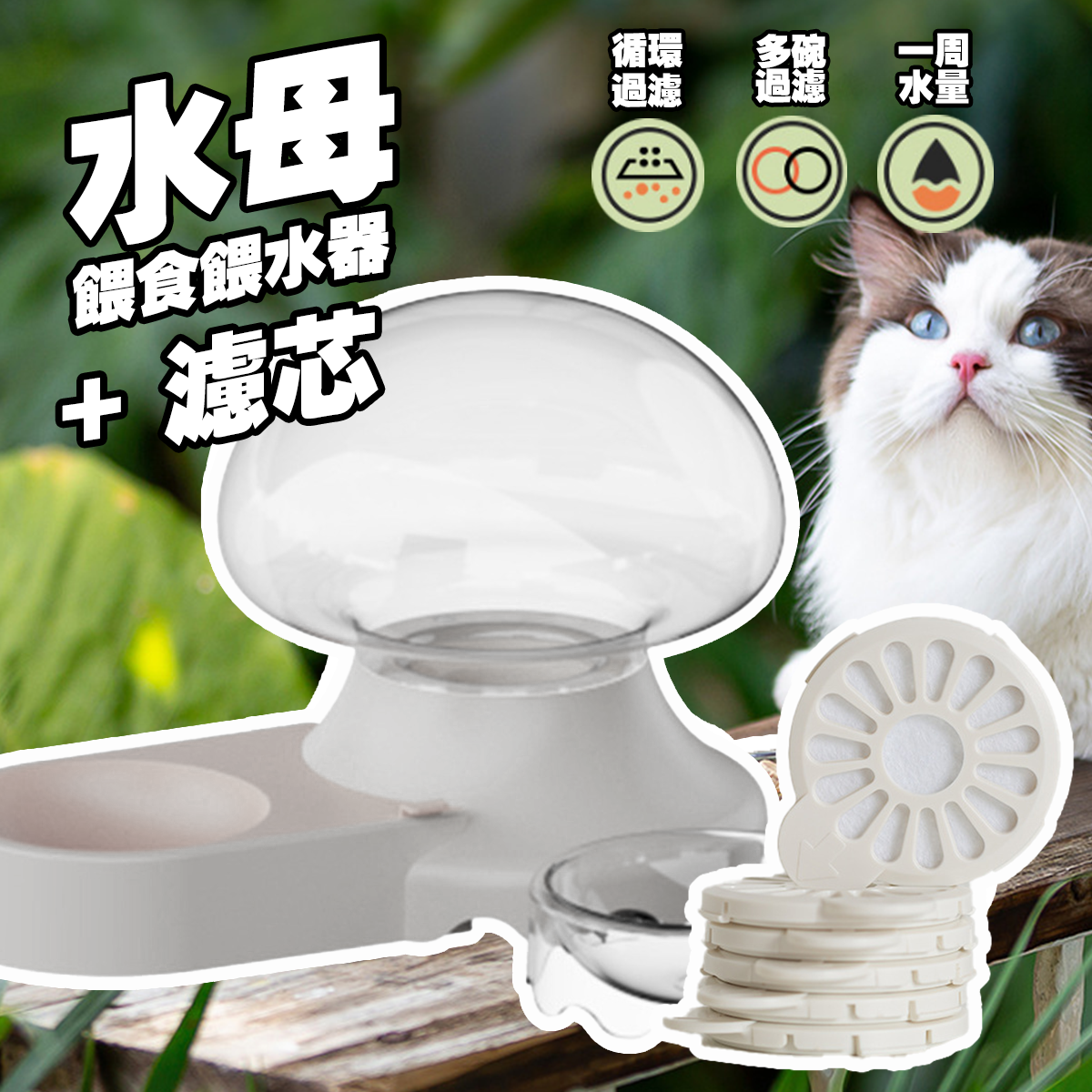 AIWO艾窩 水母飲水餵食兩用碗 寵物飲水器 寵物碗