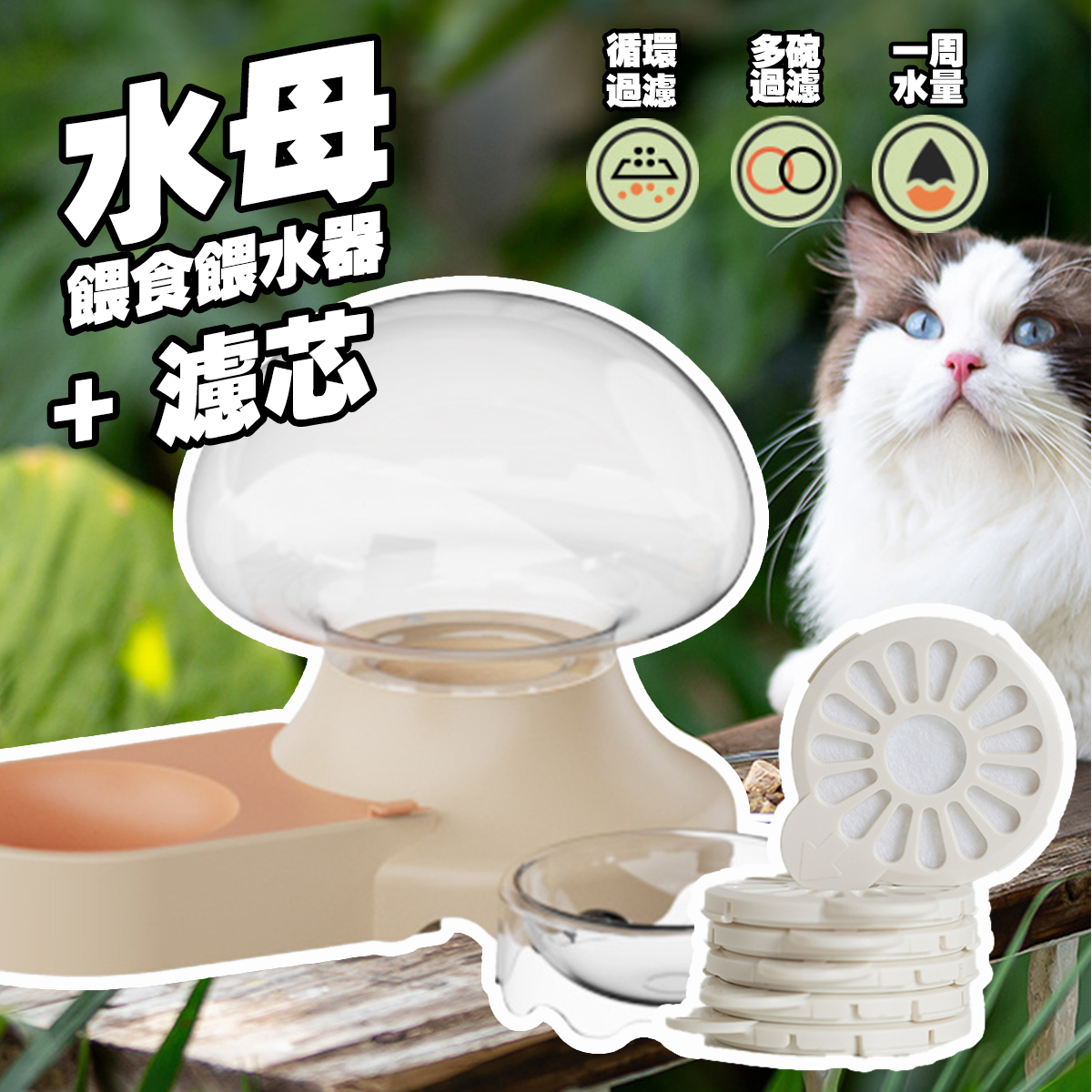 AIWO艾窩 水母飲水餵食兩用碗 寵物飲水器 寵物碗