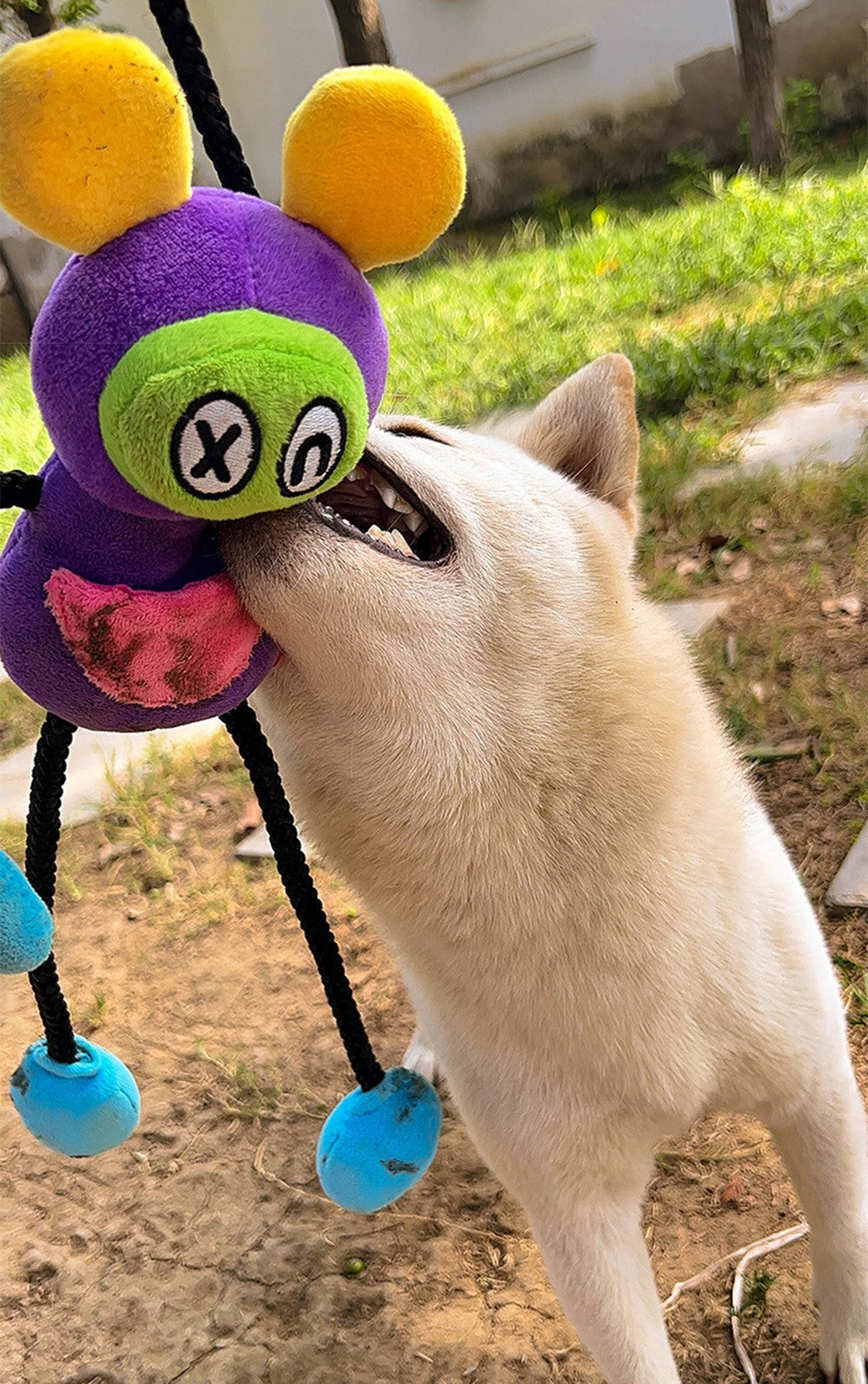 Q-MONSTER 朋克面具系列 毛絨棉繩玩具 拉扯 發聲玩具