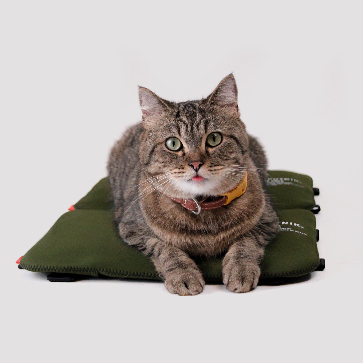 SPUTNIK 斯普尼克 EXPLORE 寵物機能拼接涼墊 2入