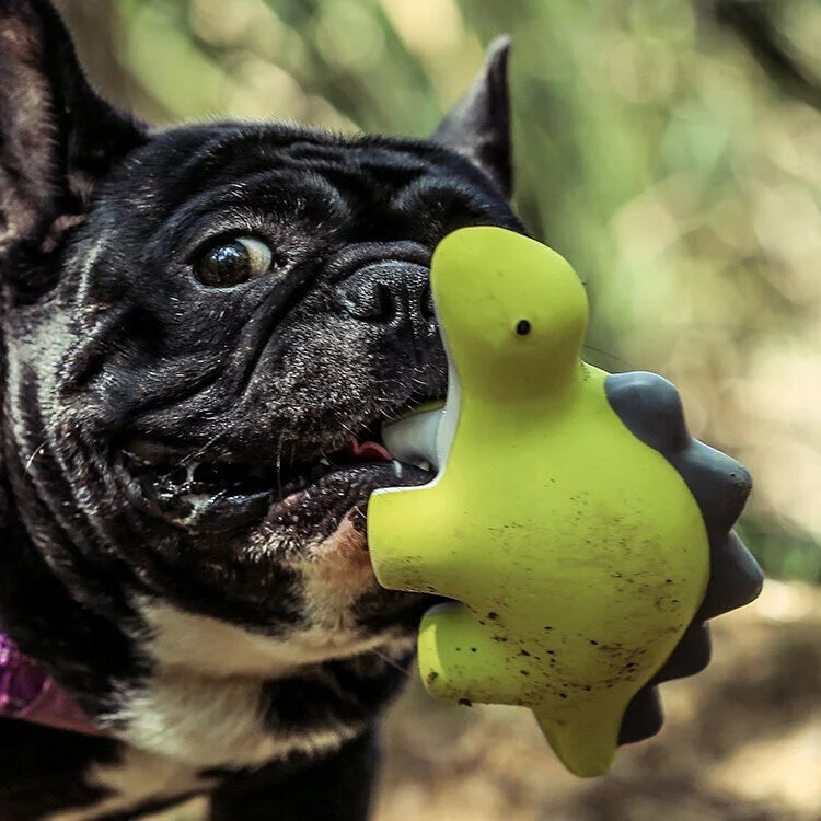 Q-MONSTER 恐龍家族 耐咬 潔牙 發聲玩具