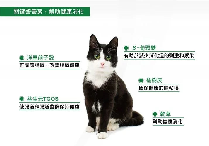 GIMPET竣寶 GimCat 益生菌腸胃保健營養膏 50g