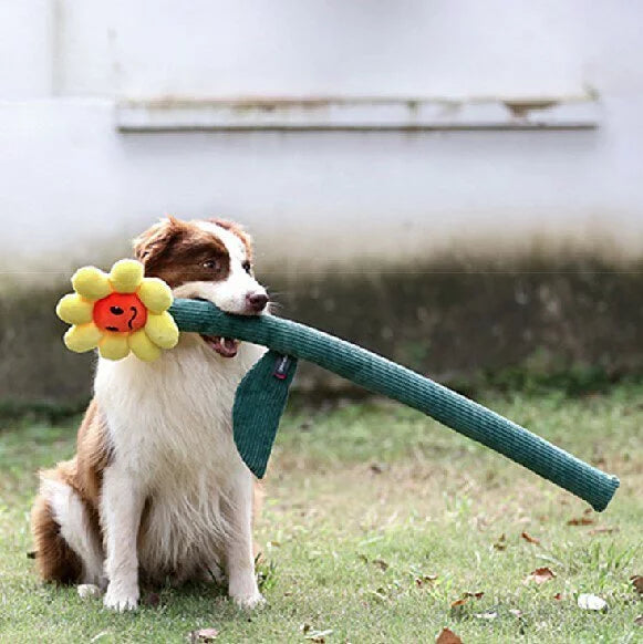 Q-MONSTER 互動拉扯玩具 花花棒系列