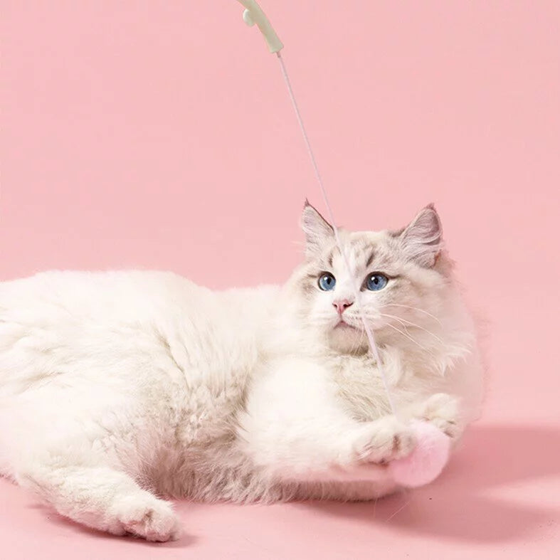 SOFT ZOO 彈力逗貓棒 3款