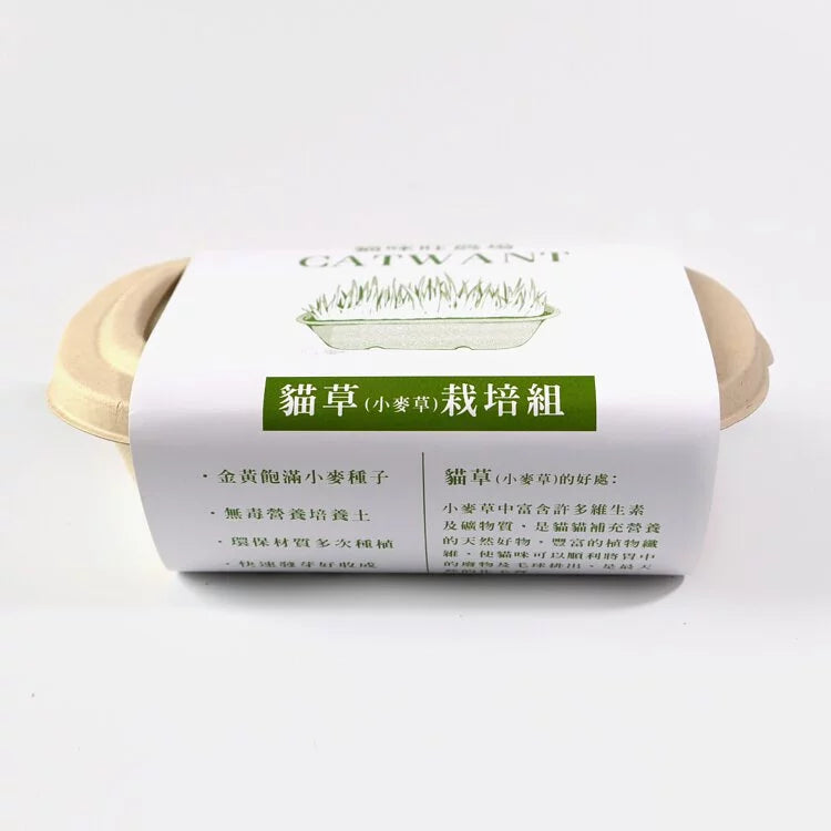 Catwant貓咪旺農場 小麥草DIY種植組