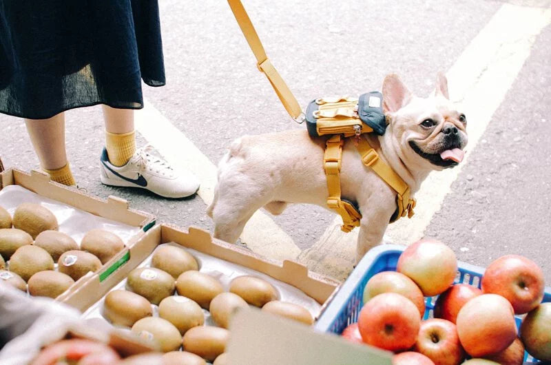 SPUTNIK 斯普尼克 EXPLORE 寵物狗狗拾便包