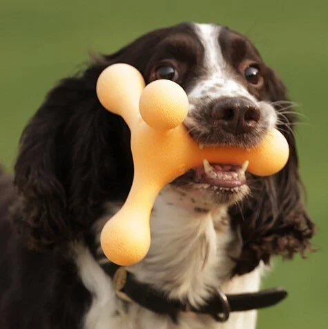 Q-MONSTER ROLY-POLY 不倒膠磨牙狗玩具 藍橘配色/小號