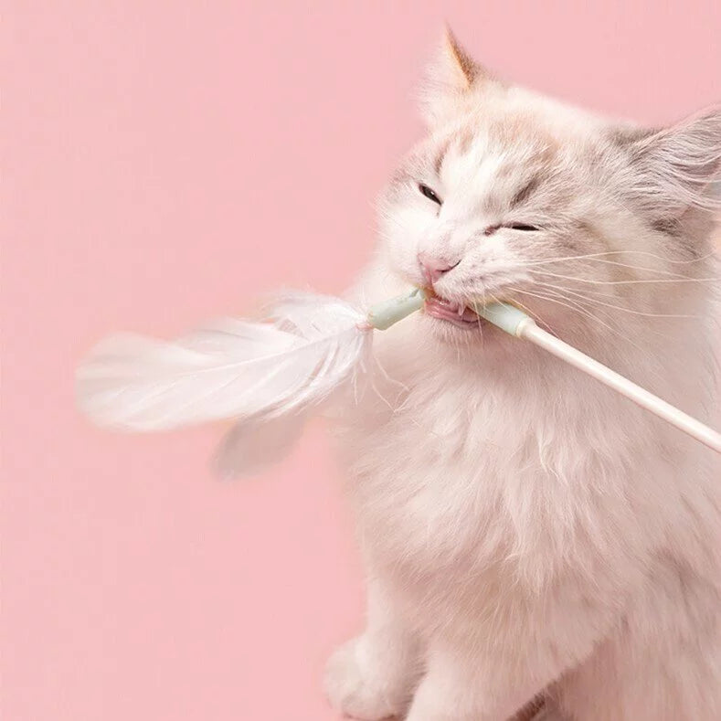 SOFT ZOO 彈力逗貓棒 3款