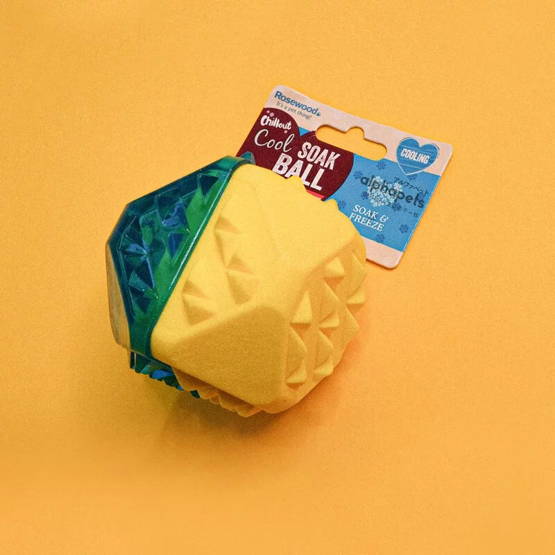 Rosewood 冰凍咬咬玩具 球