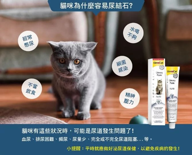 GIMPET竣寶 GimCat 泌尿道保健營養膏 50g