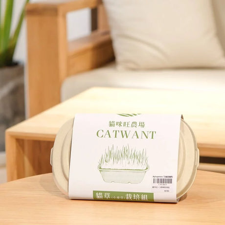 Catwant貓咪旺農場 小麥草DIY種植組