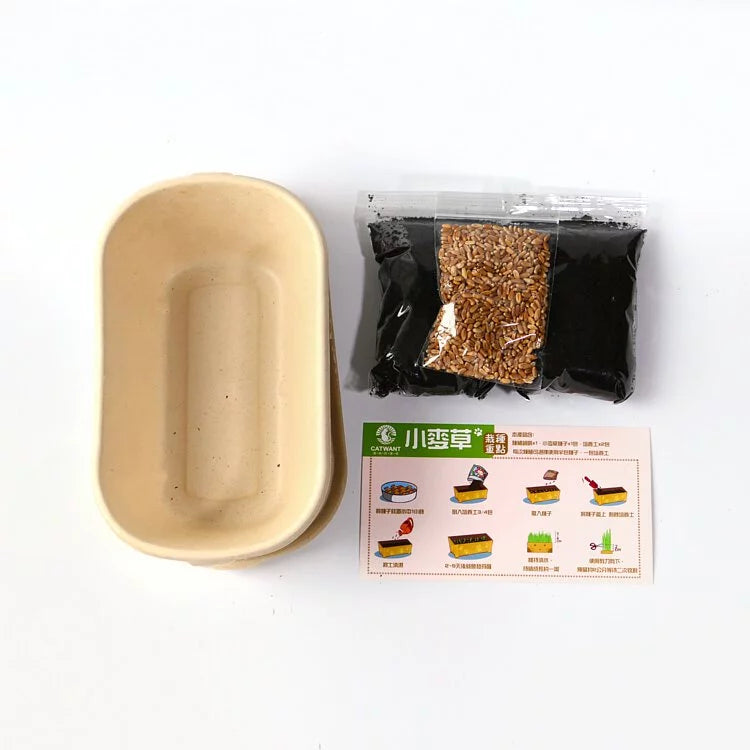 Catwant貓咪旺農場 小麥草DIY種植組