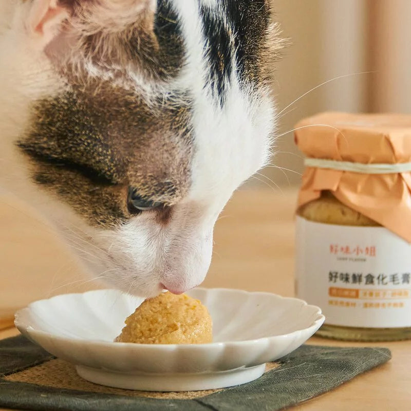 Lady Flavor好味小姐 好味鮮食化毛膏 65g