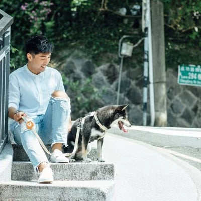 tails&me 尾巴與我 經典尼龍帶牽繩 Two-Tone 雙色系列 寵物牽繩