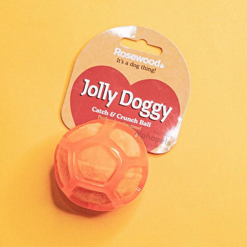 Rosewood 耐咬彈力潔牙球 橘色發聲球