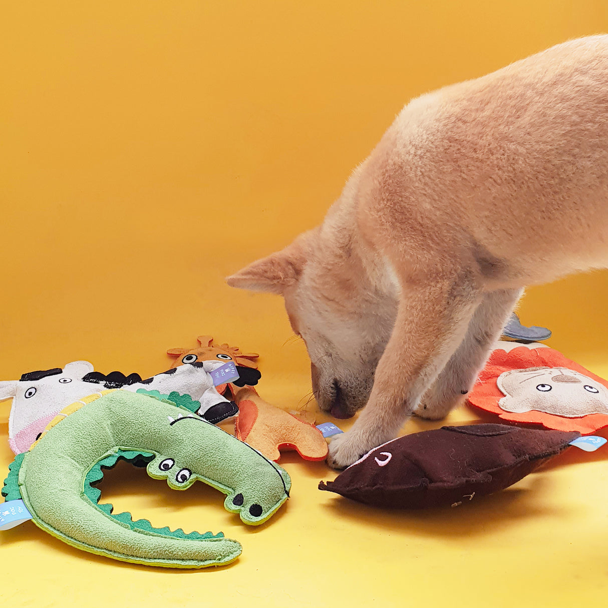 Q-MONSTER 動物園系列 發聲玩具