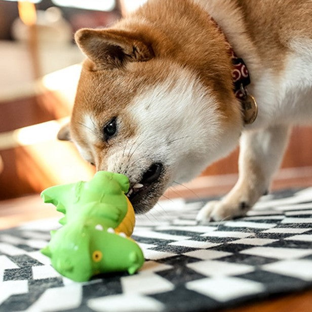 Q-MONSTER 瞪眼小怪獸家族 寵物發聲玩具