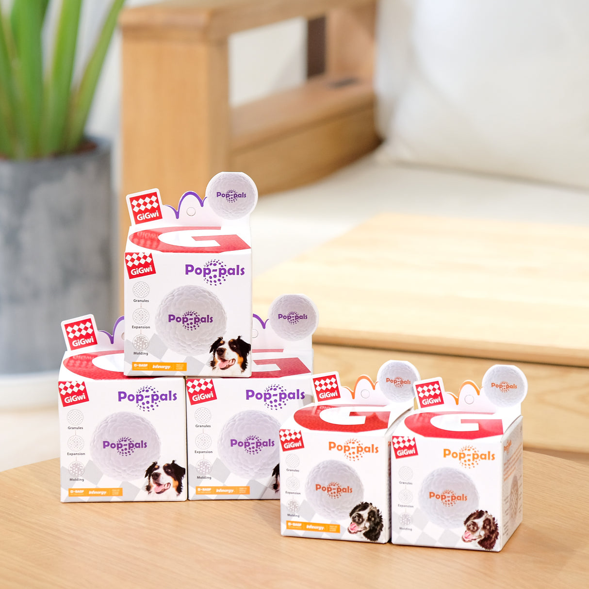 GiGwi 貴為 爆爆球 高彈力輕巧耐咬狗玩具