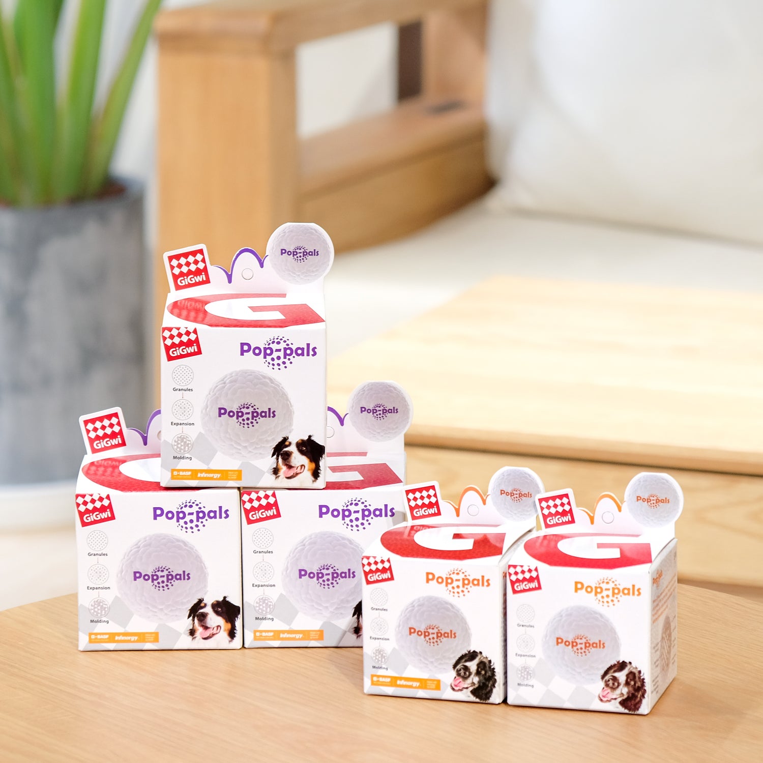 GiGwi 貴為 爆爆球 高彈力輕巧耐咬狗玩具