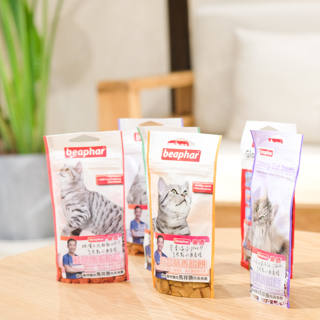 beaphar樂透 貓餡餅 35g
