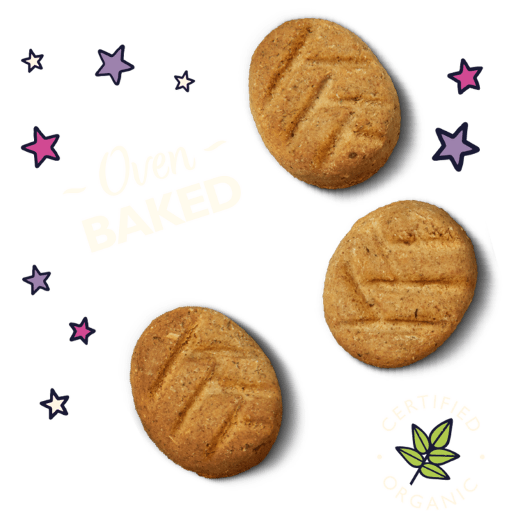 LILY'S KITCHEN莉莉廚房 晚安餅乾 犬 80g