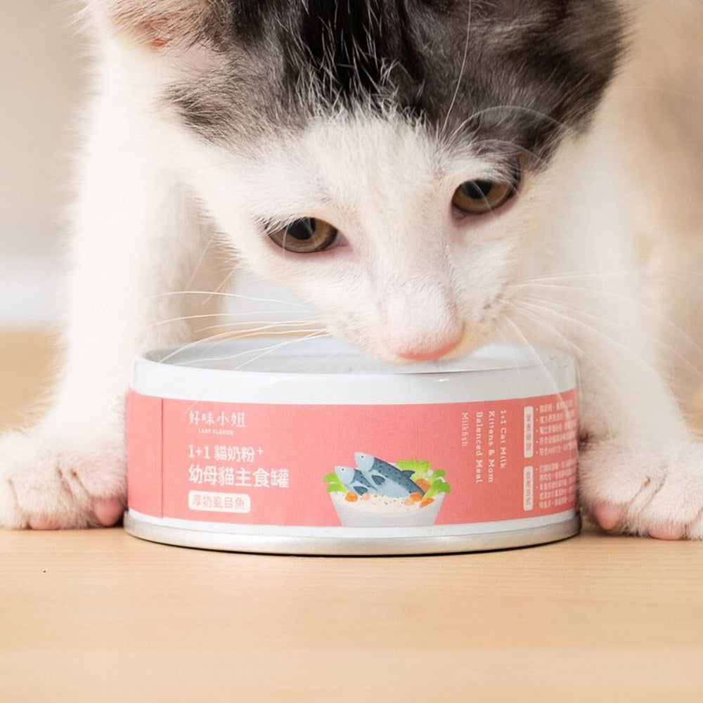 Lady Flavor好味小姐 1+1貓奶粉幼母貓主食罐 貓罐頭 貓主食