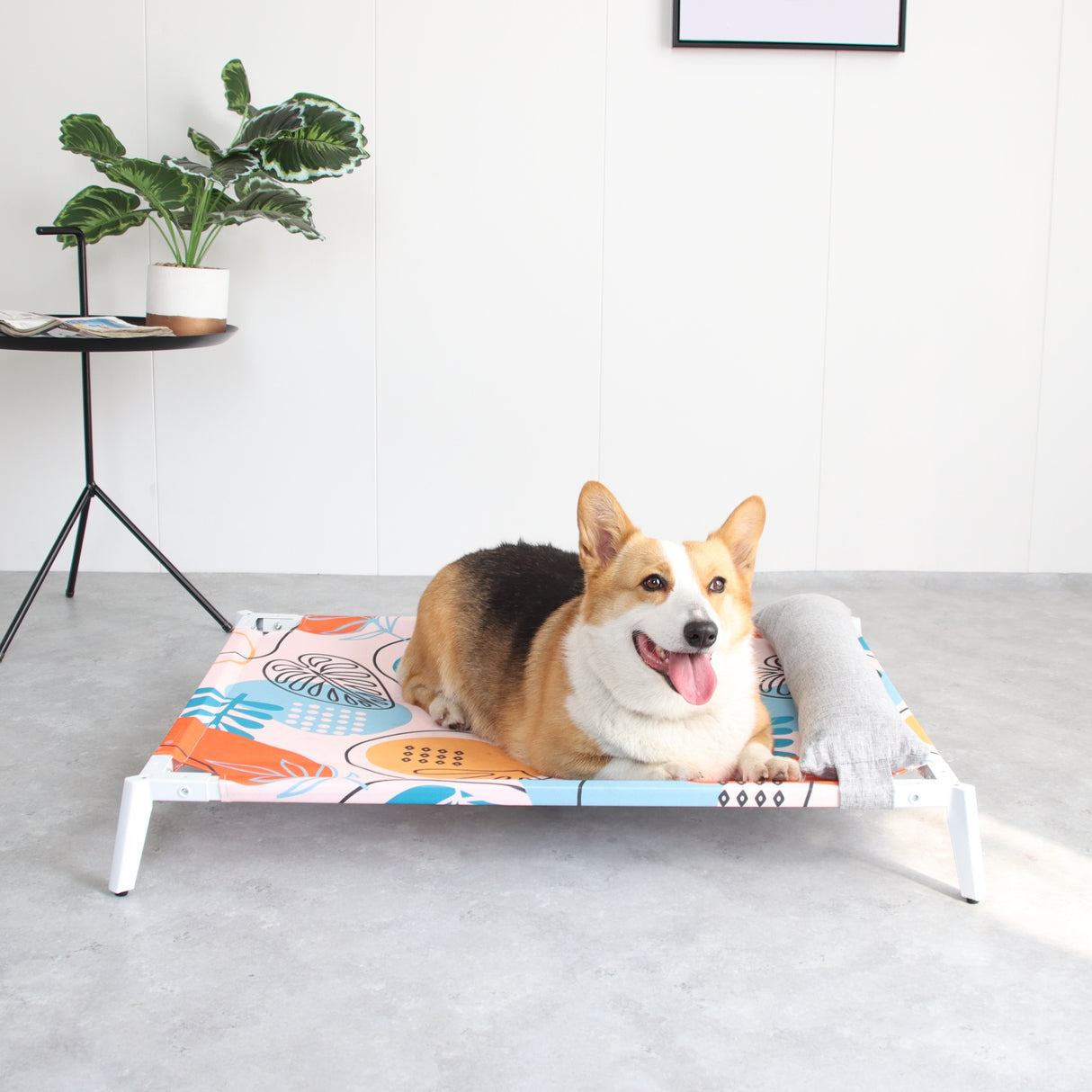 ALPHA 阿波羅寵物行軍床 寵物睡床