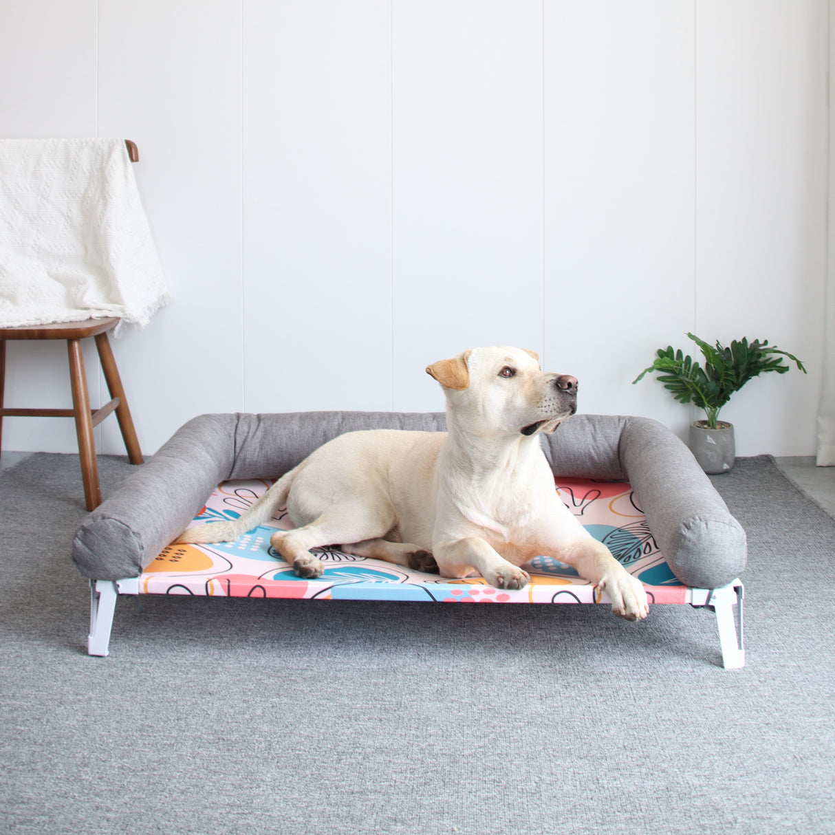 ALPHA 阿波羅寵物行軍床 寵物睡床