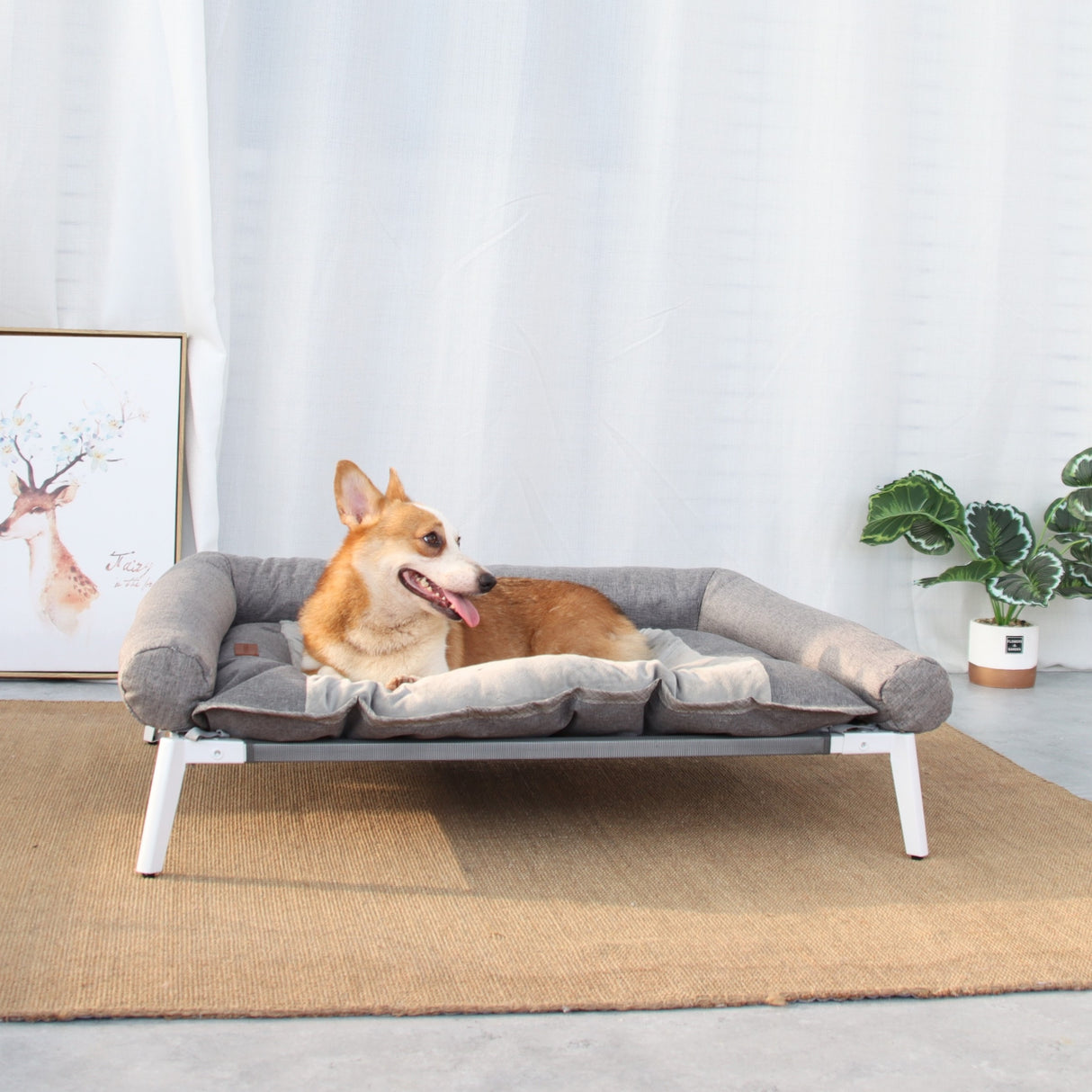 ALPHA 阿波羅寵物行軍床 寵物睡床