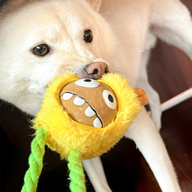 Q-MONSTER 小花臉 獅子頭 乳膠毛絨玩具 拉扯玩具