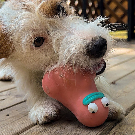 Q-MONSTER 泥人可愛造型系列 狗玩具 寵物發聲玩具