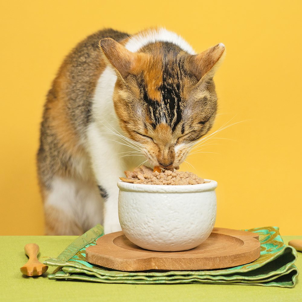 LitoMon怪獸部落 佛跳牆 澎湃美味四喜罐 80g