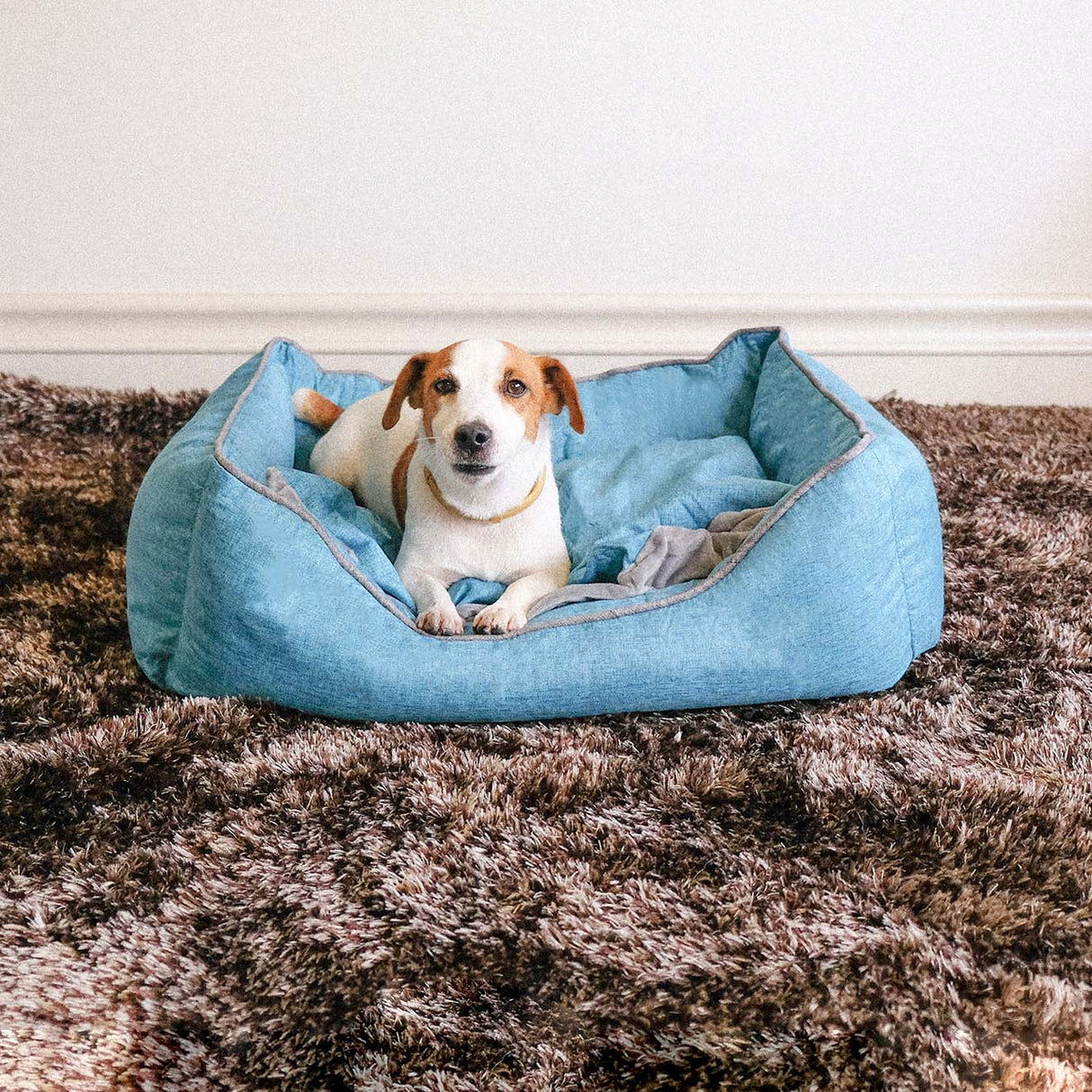 DOGSONG 頂級可全拆寵物睡墊 寵物床