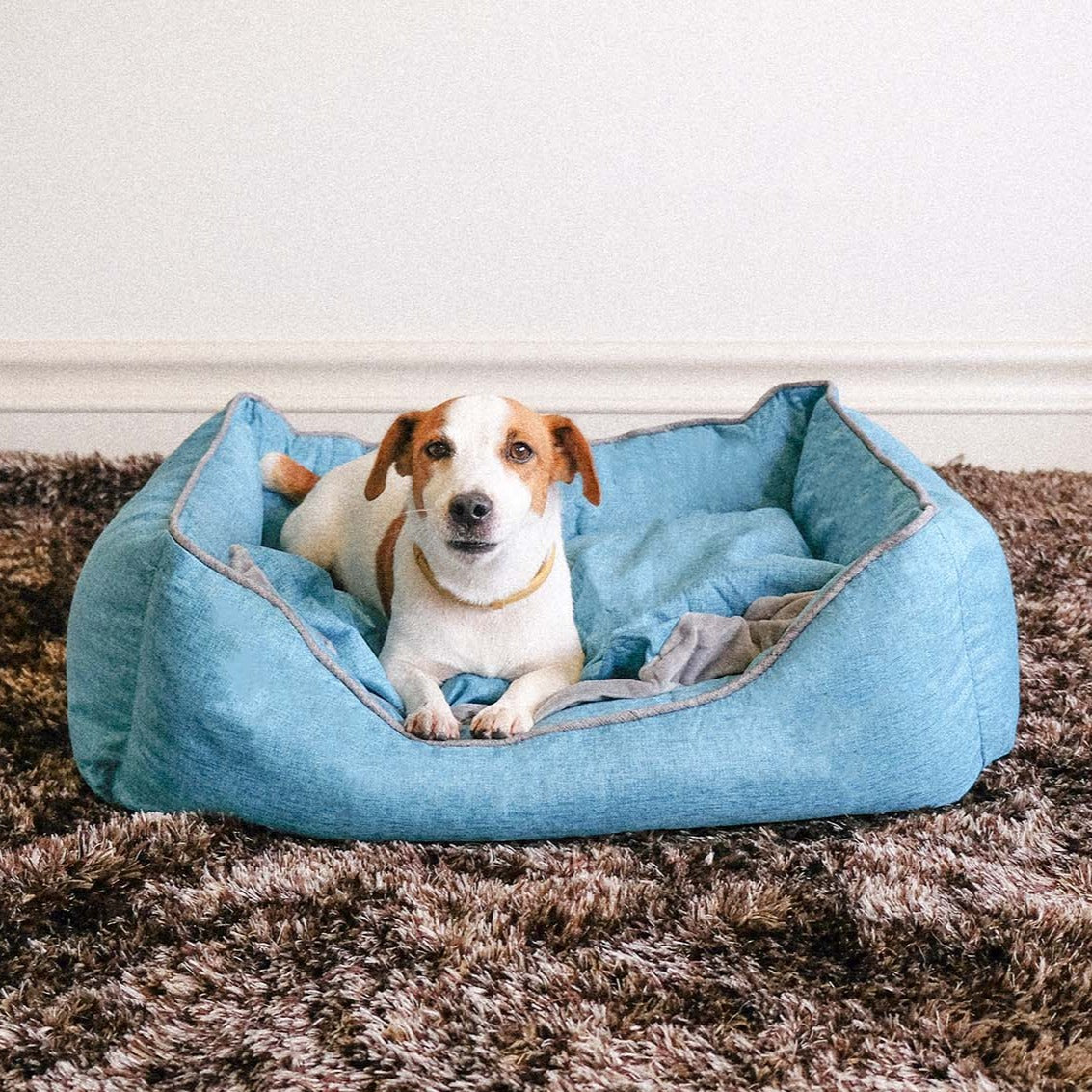 DOGSONG 頂級可全拆寵物睡墊 寵物床