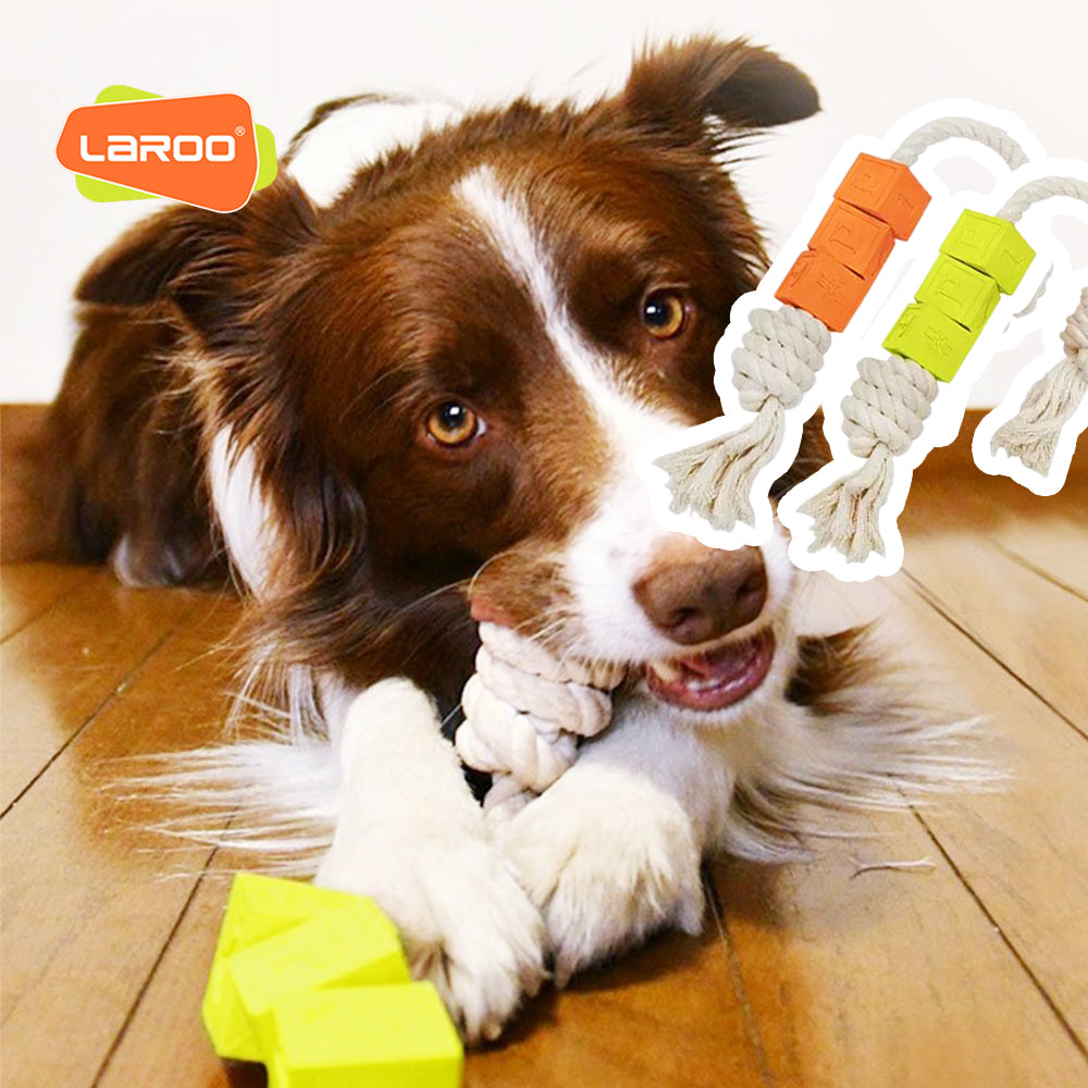 LaRoo萊諾 棉繩積木狗玩具 純棉互動玩具