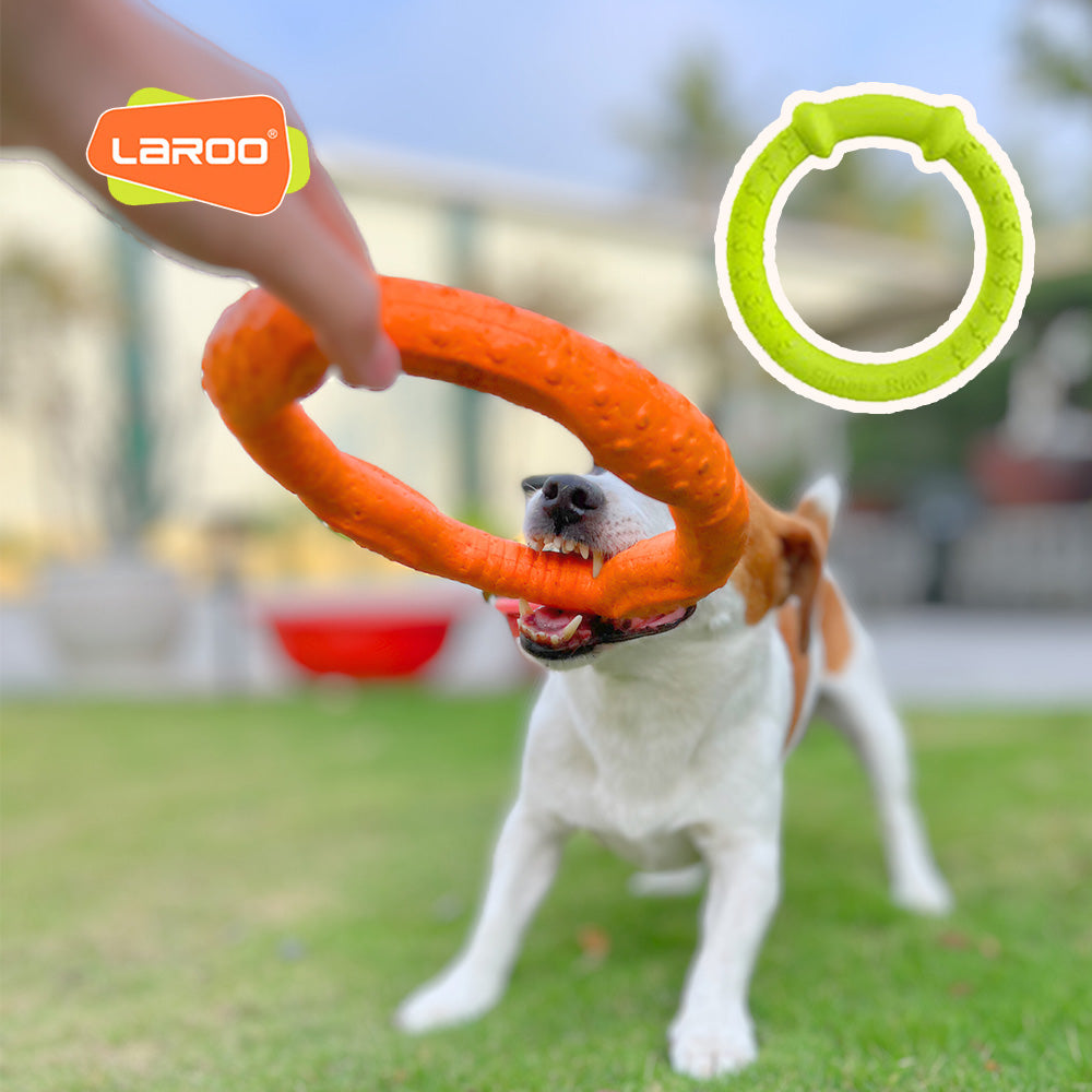 LaRoo萊諾 耐咬健身圈 寵物健身 互動 潔牙玩具 貓狗玩具
