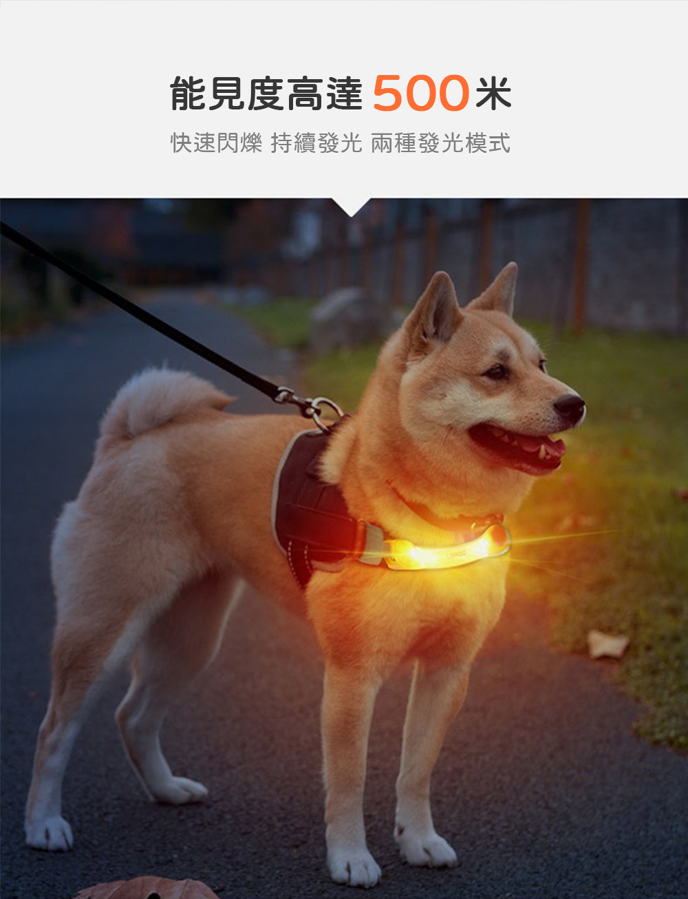 LaRoo萊諾 發光果凍百搭帶 LED發光吊飾 狗項圈吊飾