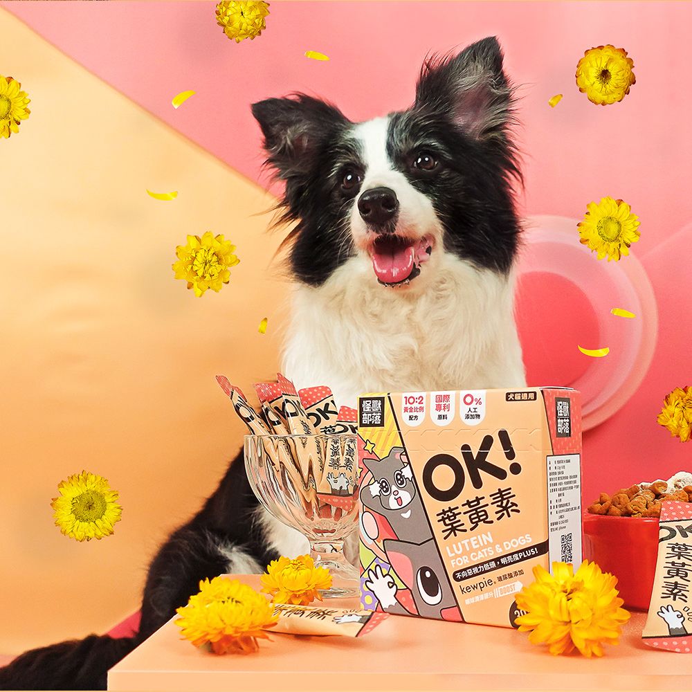 LitoMon怪獸部落 OK ! 葉黃素 1.5g