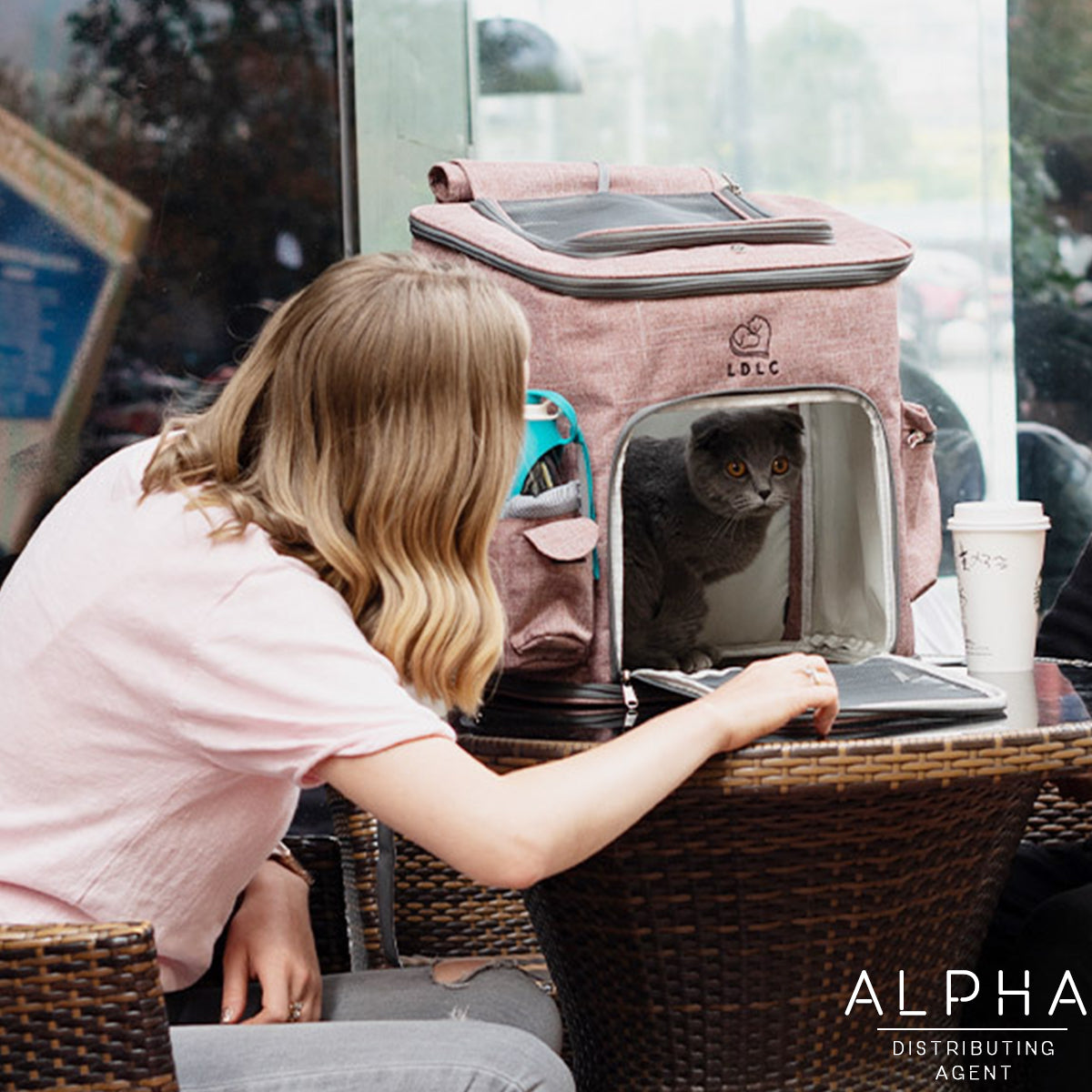 LDLC 加大款新款寵物背包