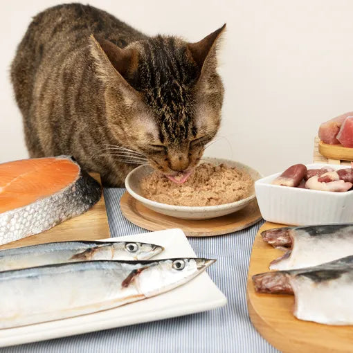 DogCatStar汪喵星球 挑嘴貓無膠主食罐 80g / 165g