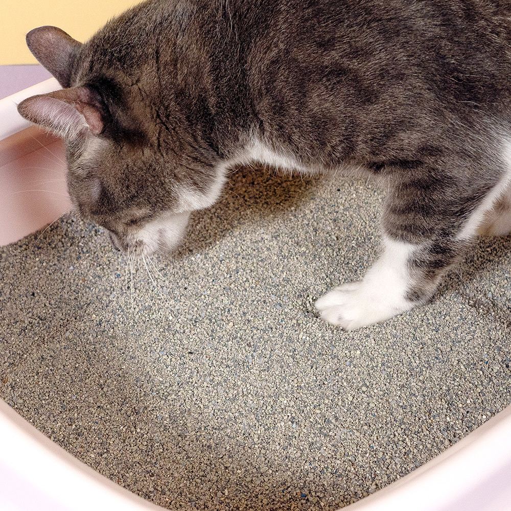 LitoMon怪獸部落 費洛蒙紓壓貓砂 礦砂 4kg